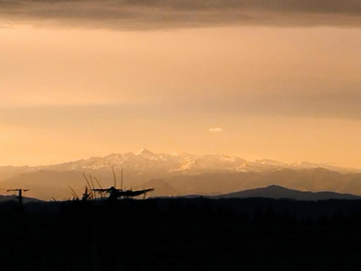 La Coquille Bed & Breakfast Pouillon Luaran gambar